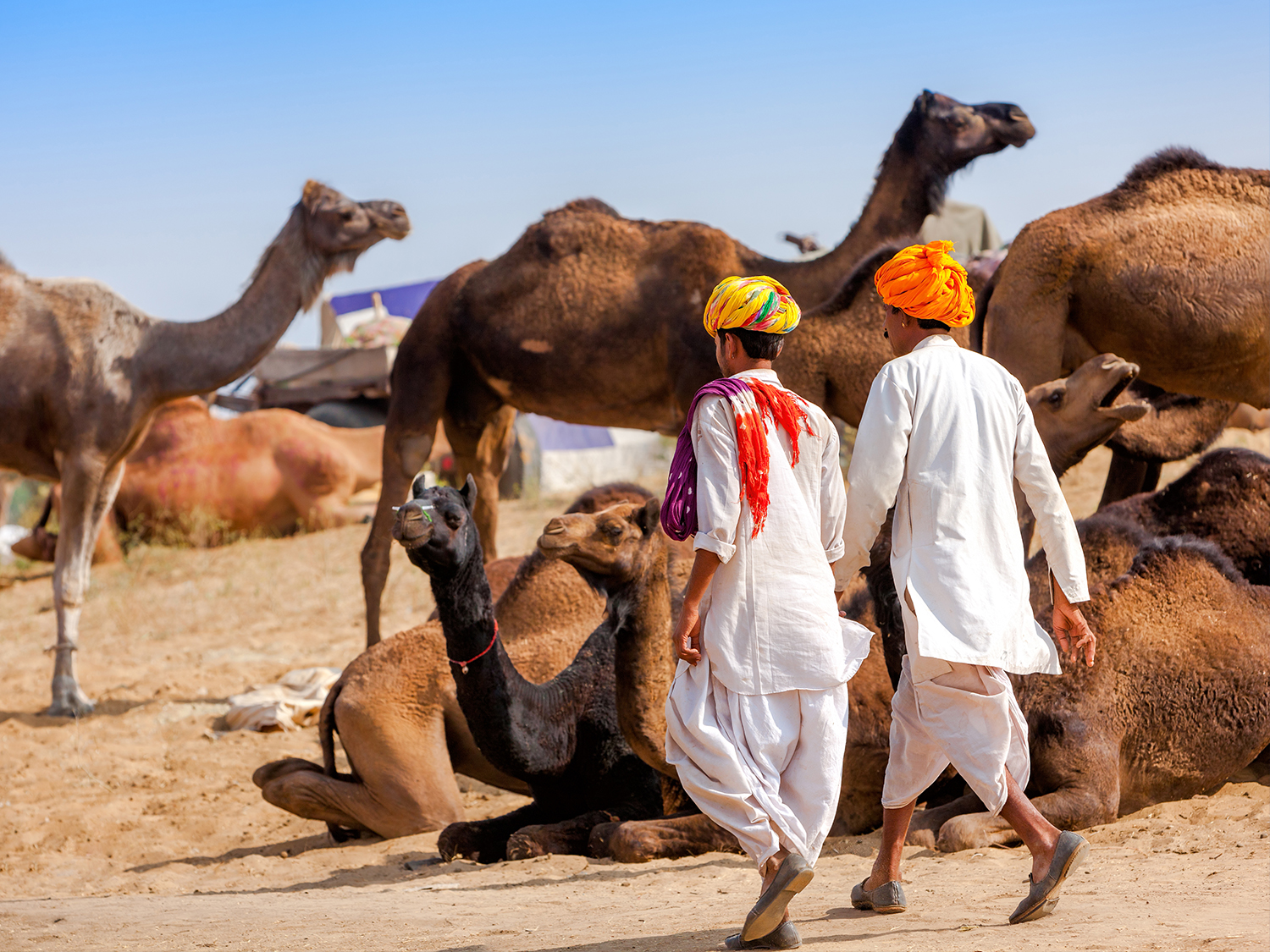 Day 4 - Jodhpur