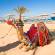 Camel in sand in Hurghada