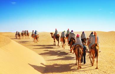 Camel trekking | Sahara | Morocco