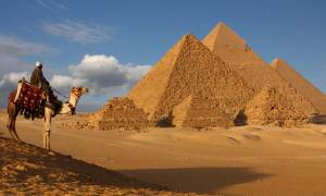 Camel-Pyramids-New-Image