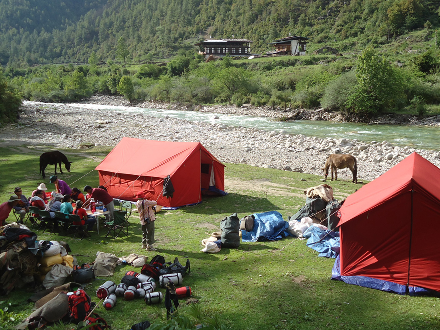Day 4 - Punakha