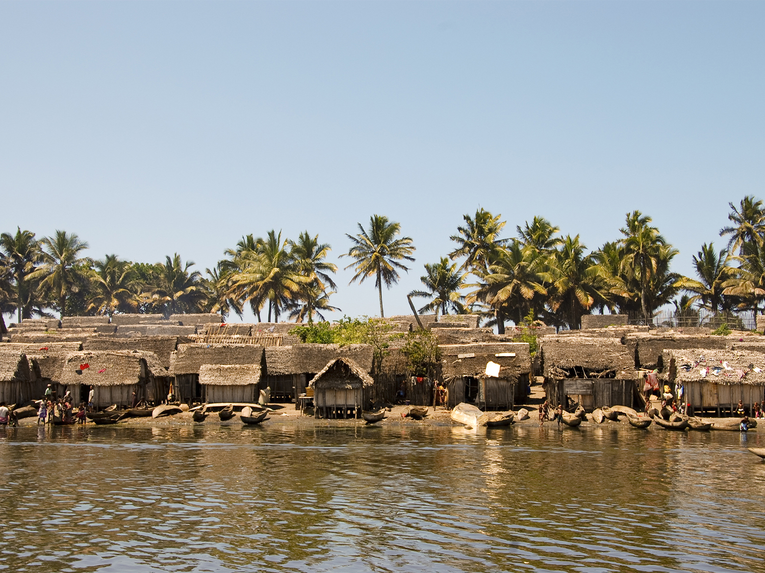 Day 4 - Andasibe-Mantadia National Park