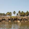 Andasibe-Mantadia National Park - Web ready highlight