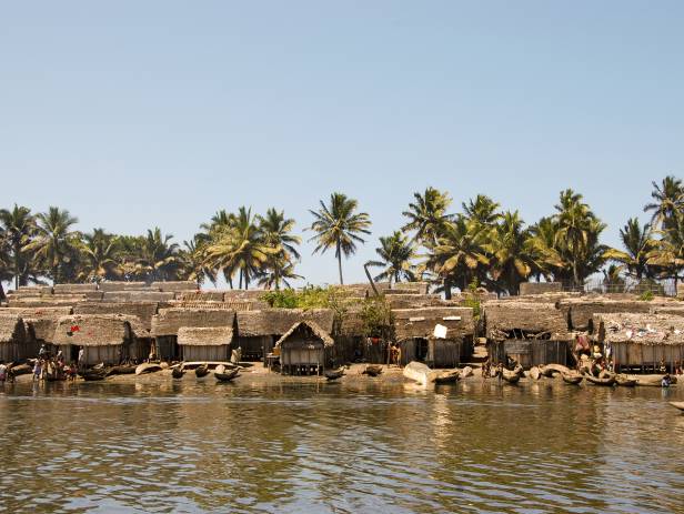 Andasibe-Mantadia National Park - Web ready highlight