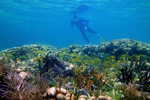 Cano Island - Costa Rica's Best Beaches - On The Go Tours
