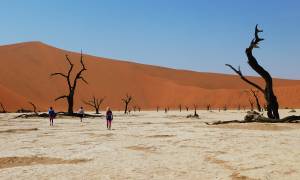 Cape, Delta & Falls Accommodated main image - Deadvlei in Namibia