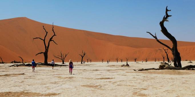 Deadvlei in Namib Naukluft National Park | Namibia | Africa