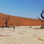 Deadvlei in Namib Naukluft National Park | Namibia | Africa