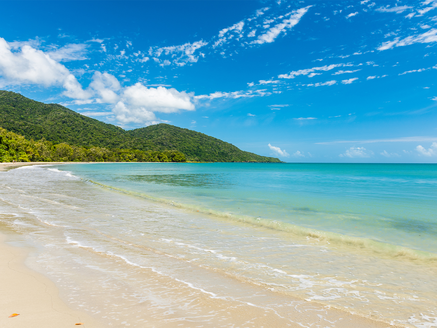 Cape Tribulation