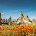 Hot air balloons floating over the stunning landscape of Cappadocia