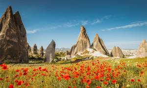 Cappadocia and poppies - Best time to visit Turkey - On The Go Tours