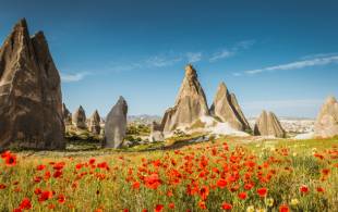 Cappadocia and poppies - Best time to visit Turkey - On The Go Tours