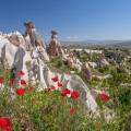 Hot air balloons floating over the stunning landscape of Cappadocia