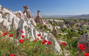 Cappadocia-in-bloom-Turkey