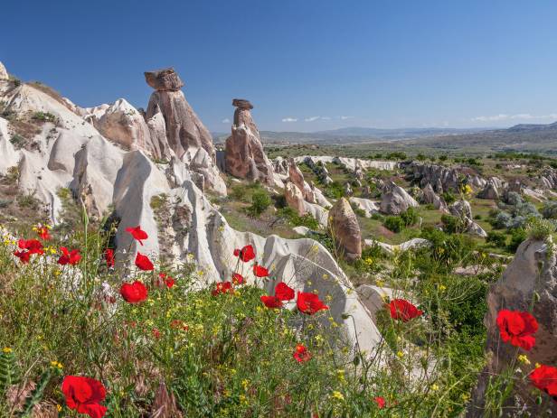 Hot air balloons floating over the stunning landscape of Cappadocia