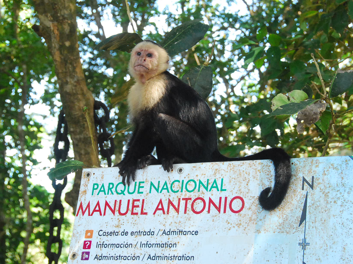 Days 10-11 - Manuel Antonio Village