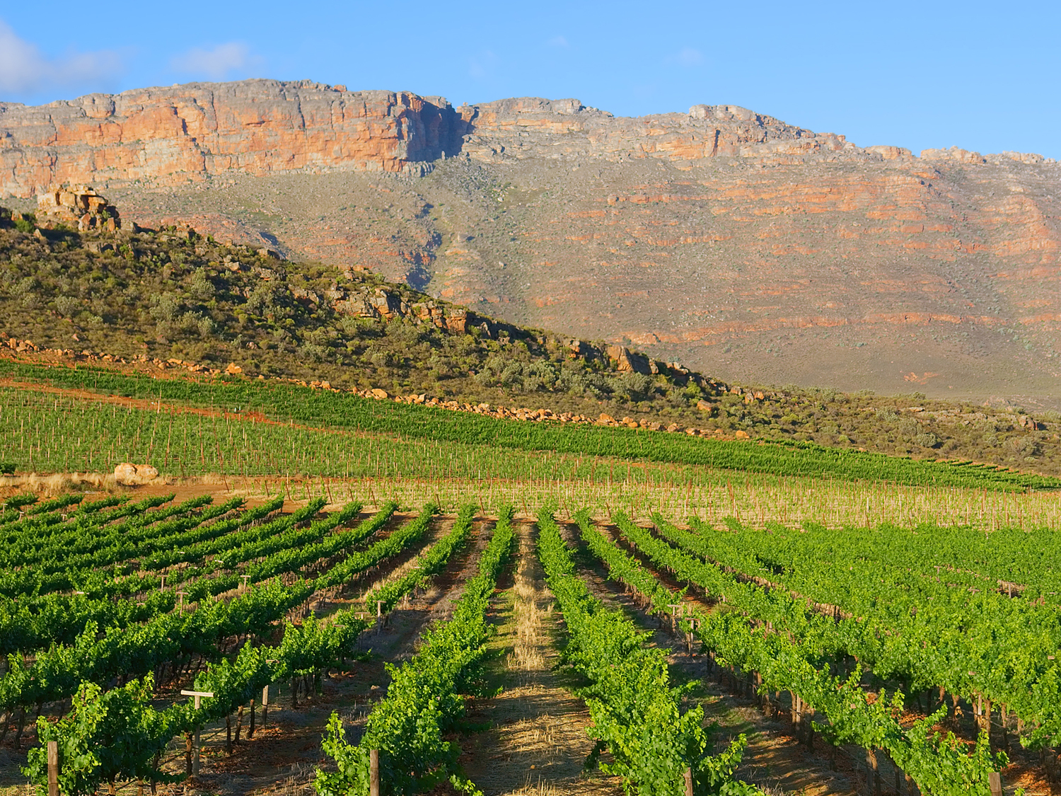 Day 9 - Cape Town