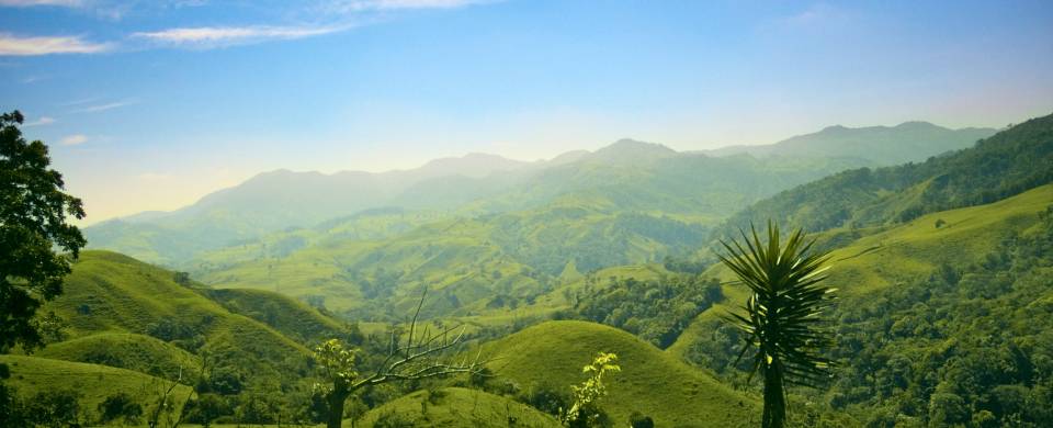 Sun shining down over the lush expanse of the Central Valley
