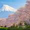 Our comprehensive guide to the cherry blossom festival in Japan