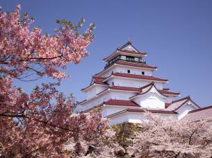Cherry blossom and castle - Bucket List