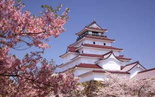 Cherry blossom and castle - Bucket List