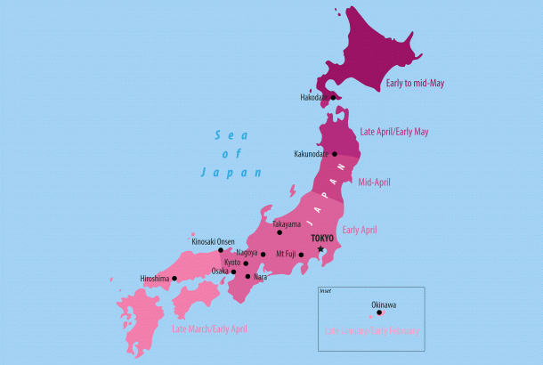 Cherry-Blossom-Season-Map