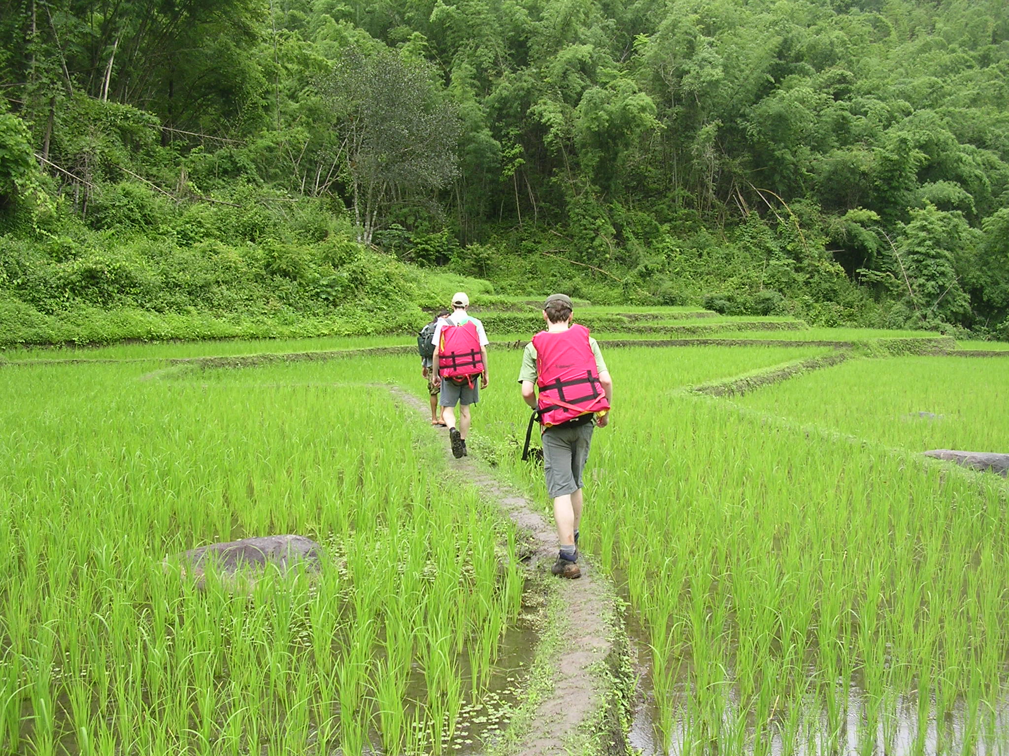 Day 9 - Departure from Chiang Mai