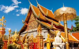 Visit gleaming Wat Phra That Doi Suthep in Chiang Mai on our 2017 tours to Thailand