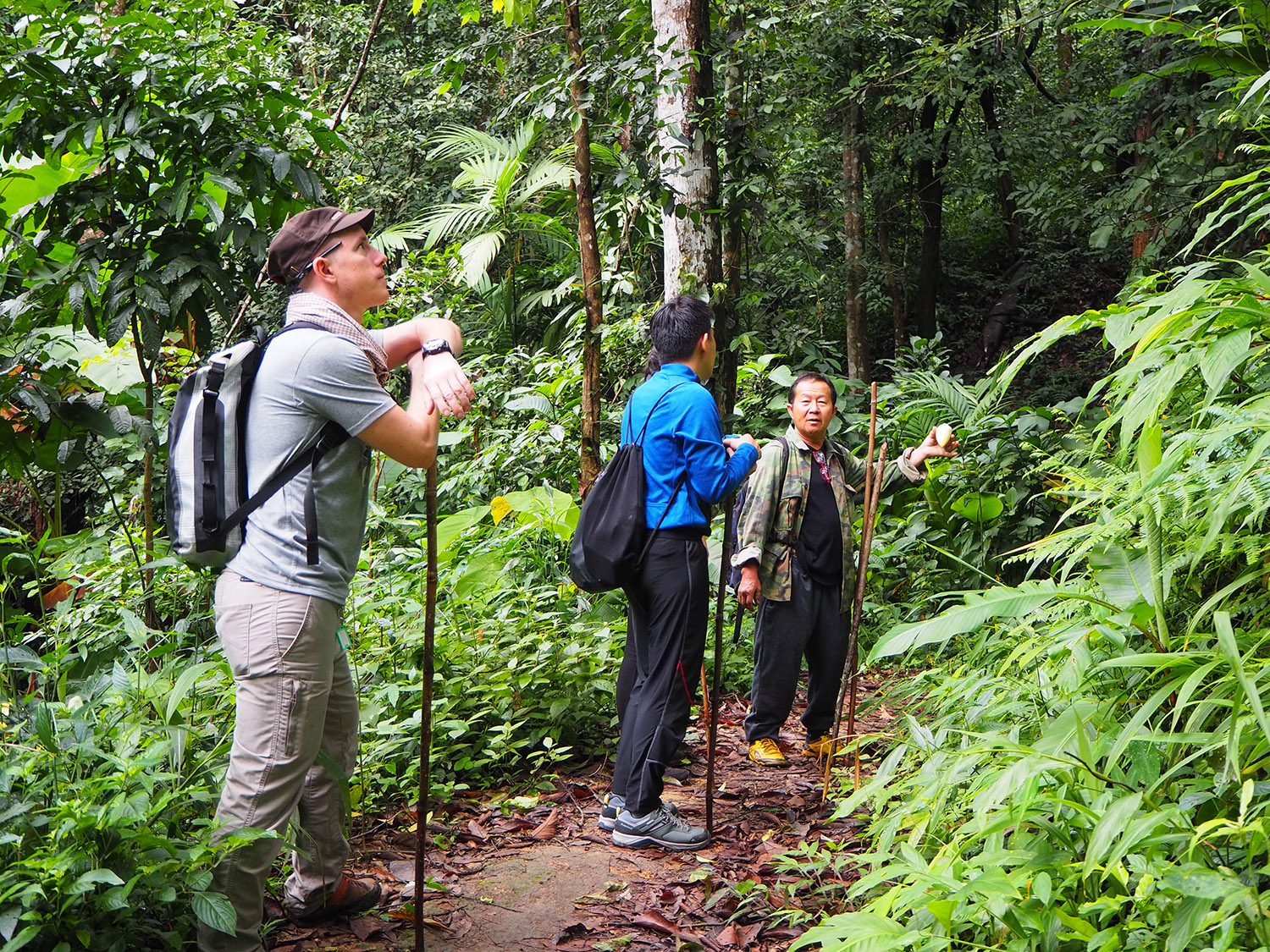 Trekking in Chiang Mai - 9 days