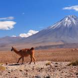 The Atacama Desert is a real highlight of our tours to Chile