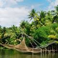 Boat sailing along the river, fringed with thick jungle, in Alleppey