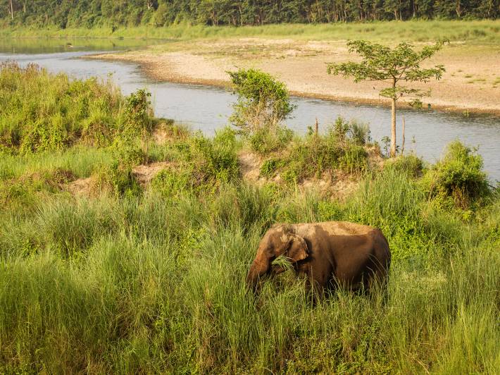 Chitwan National Park - Best places to visit in Nepal - On The Go Tours