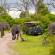 Elephants in Chobe National Park | Botswana