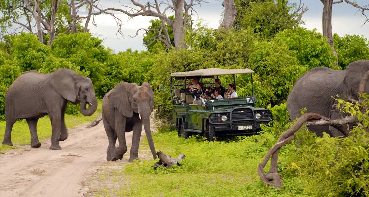 tourhub | On The Go Tours | Chobe, Okavango & Etosha - 14 days | 2480/COE