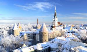Christmas Market in Tallinn - Main Image - Tallinn, Estonia - On The Go Tours