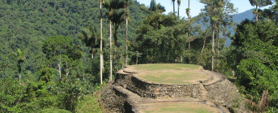 The circular terraces of the Ciudad Perdida, Colombia's Lost City