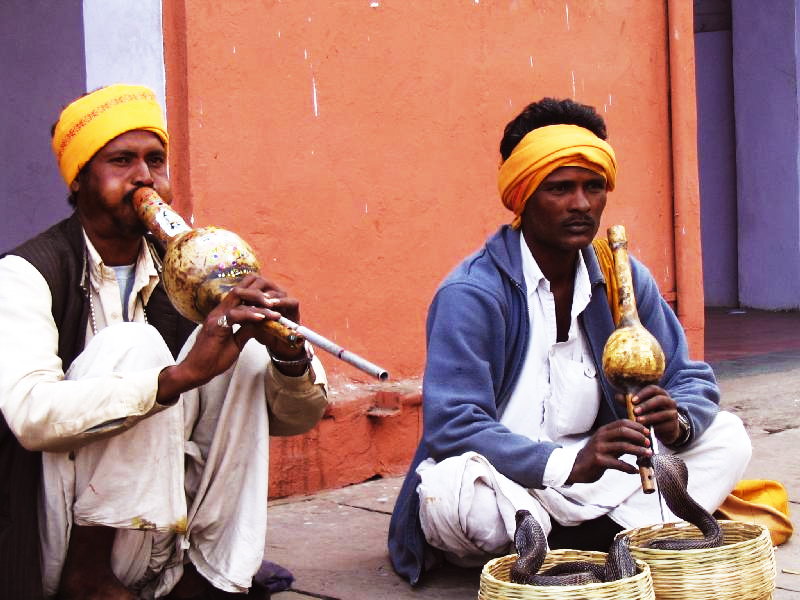 Day 5 - Jaipur