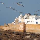 Essaouira on the Atlantic Coast of Morocco