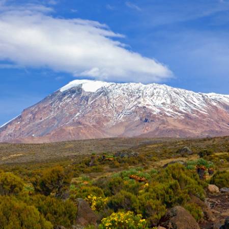 Climb-Kilimanjaro-Africa-Trek