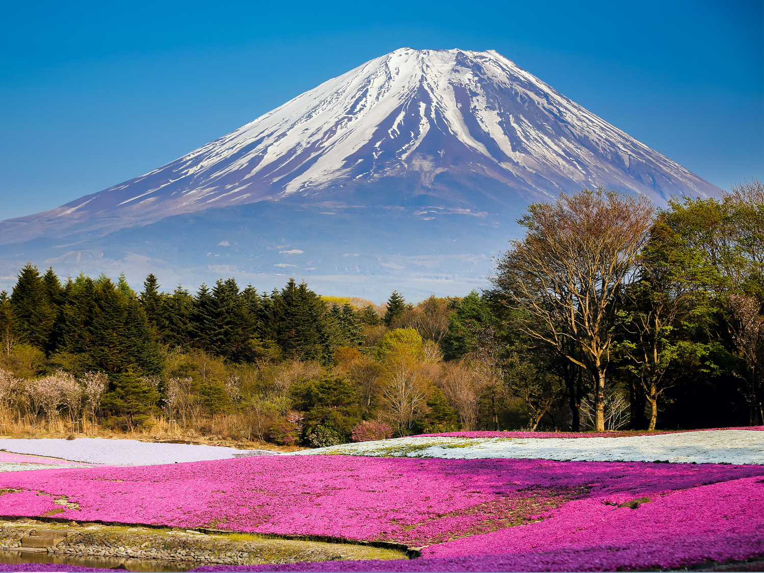 Days 3-4 - Hakone