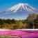 Close up of Mount Fuji with phlox moss - Japan Tours - On The Go Tours