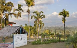 Coffee plantation - Colombia - On The Go Tours