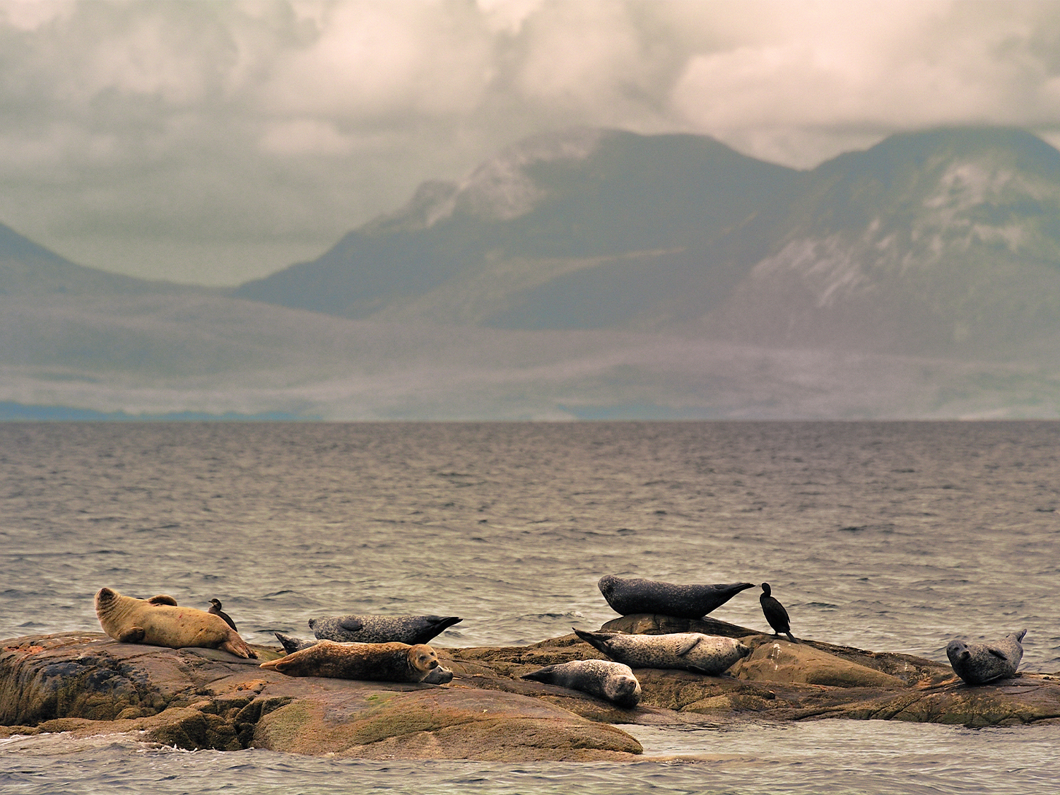 Day 3 - Exploring Islay