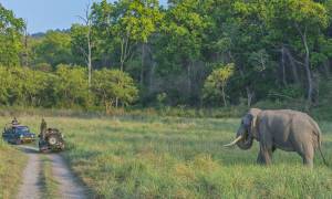 Corbett NP main image - elephant safari