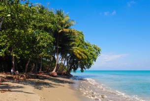 Corcovado National Park - Costa Rica's Best Beaches - On The Go Tours