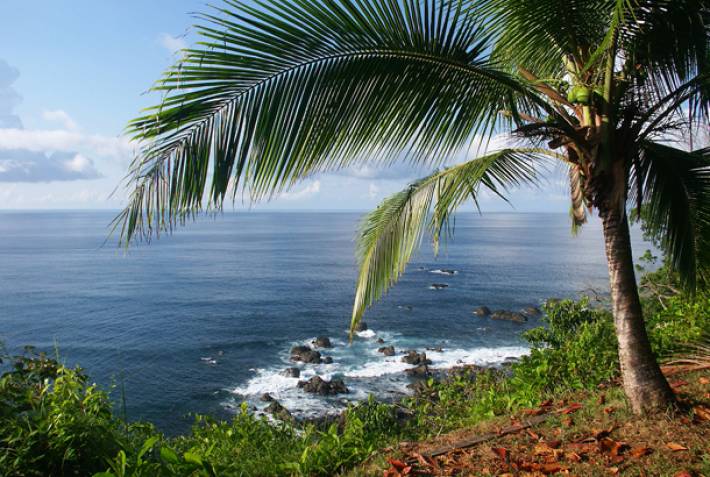 Corcovado National Park in Costa Rica - On The Go Tours