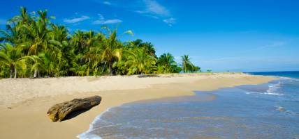 Costa Rica's Best Beaches menu tab image