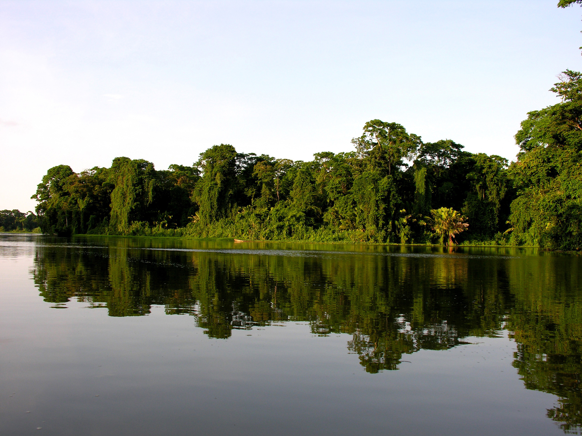 Days 2-3 - Tortuguero