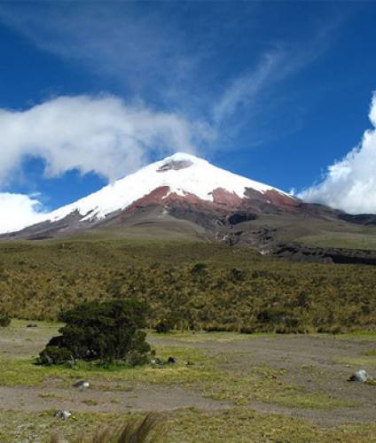 Tailormade holidays to Cotopaxi National Park in Ecuador, the | On The ...