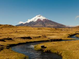 Cotopaxi Volcano View Ecuador On The Go Tours